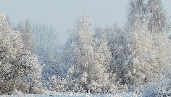 White Silence / ***