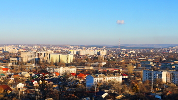 View of the City / ***
