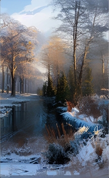 Forest River / ***