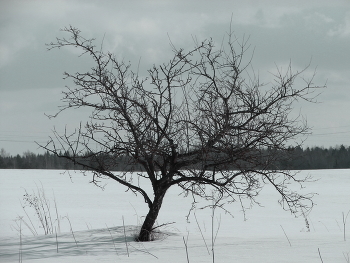 Two loneliness / ***