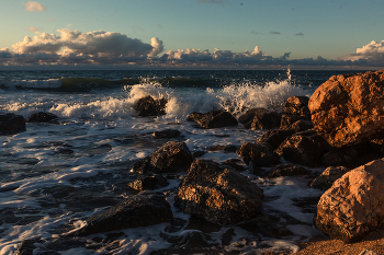 surf / ***