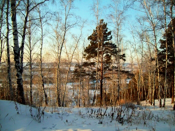 winter / ***