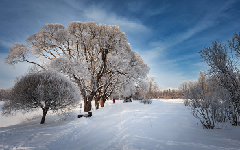 Im Winter Park ... / ***
