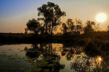Herbst-Skizzen / ***