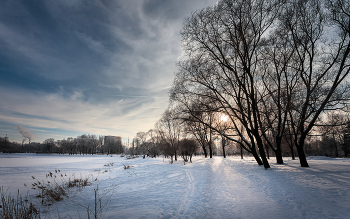 Im Winter Park ... / ***