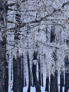 &nbsp; / [img]https://i.postimg.cc/kGy0r4MZ/32018-AE4-F7-F7-4805-89-B6-2-E729495-AC2-E.jpg[/img]


[img]https://i.postimg.cc/Bt9Xzm6N/BD4-A77-A0-C213-45-BD-89-EA-35715-B0471-BC.jpg[/img]