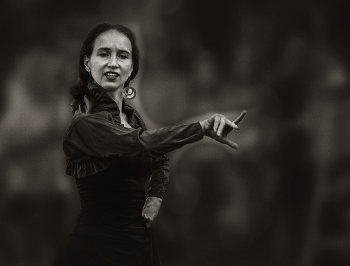 Flamenco / ***