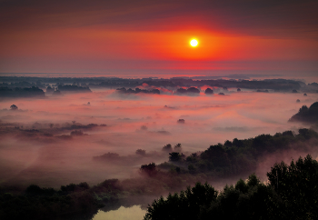 scarlet dawn / ***