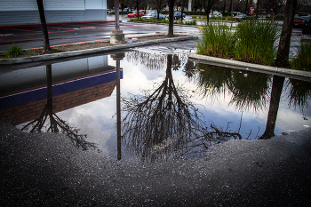 After the rain / ....