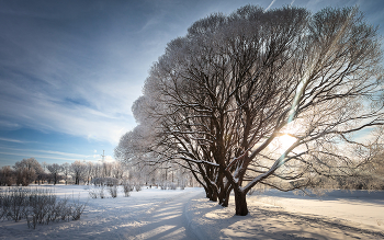 Im Winter Park ... / ***