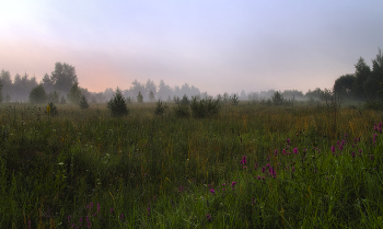 In the hour before dawn / ***