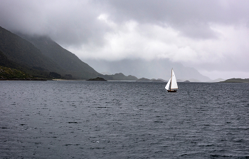Sail / ***