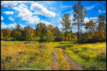 Herbst-Skizzen / ***