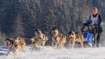  / Husky - EM