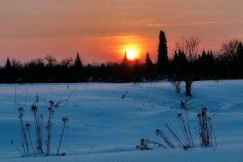 Evening / ***