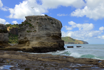 Peninsula / ...