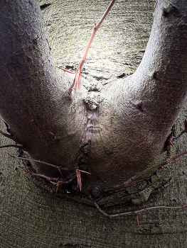 Looking the right way / Tell me why