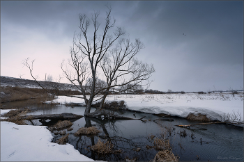 Thaw / ***