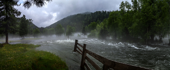 High Water / ***