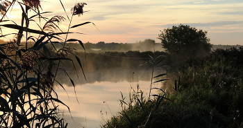 Morgen auf dem Fluss / ***
