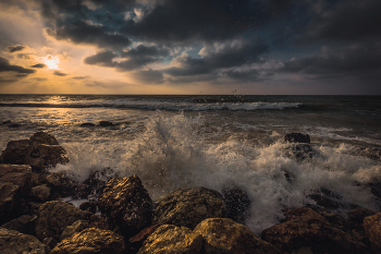 surfen / ***
