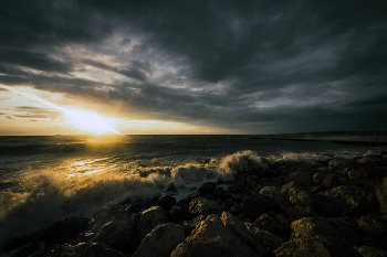 surfen / ***