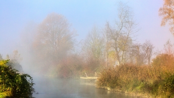 Nebel am Morgen / morgennebel am fluss