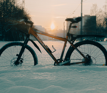 Baden rote Pferd / ***