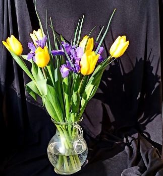 Spring Flowers / ***