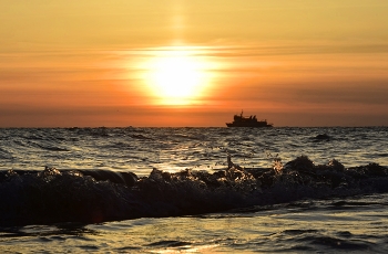 Sunset / ***