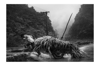 / "Rice&Icon of Vietnam" B&W art photo project