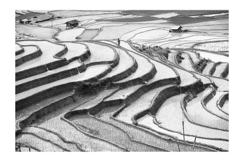  / "Rice&Icon of Vietnam" B&W art photo project