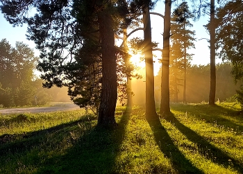 Sunset / ***