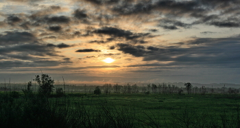 am Morgen / ***