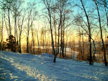 Winter / ***