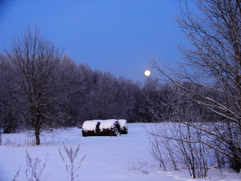 It was getting dark ... / ***