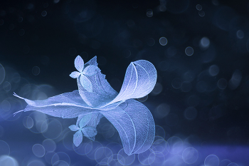 In the Valley of Oblivion / 2023