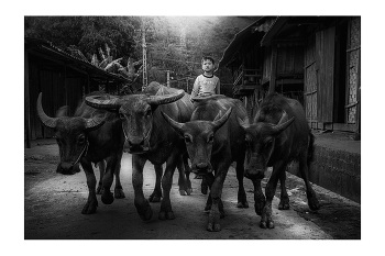  / "Rice&Icon of Vietnam" B&W art photo project