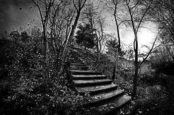Der Weg / ***