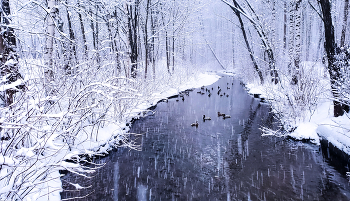 März Schneefall / ***