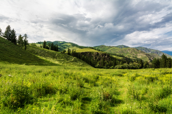 Altay / ***