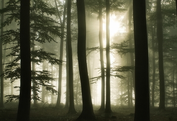Mit der Sonne / ***