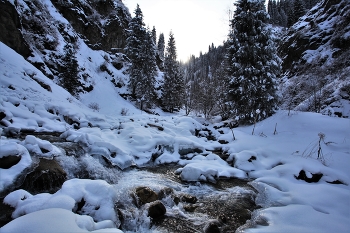 Bow winter / ***