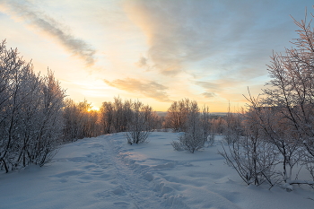 Sunrise over the river / ***