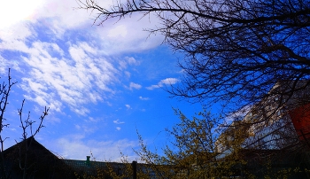 Spring Day / ***