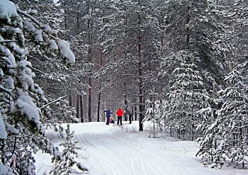 &nbsp; / &quot; &quot; &quot;