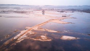 Neman in flood / ***