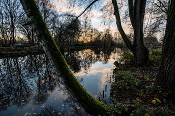 The evening in the park / ***