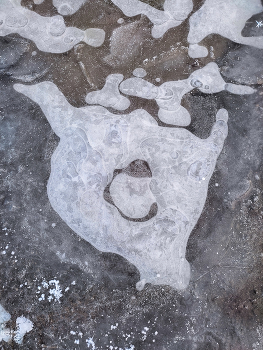 &nbsp; / [img]https://i.imgur.com/wAWbEYg.jpg[/img]
