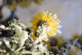 &nbsp; / 01-12-2022.